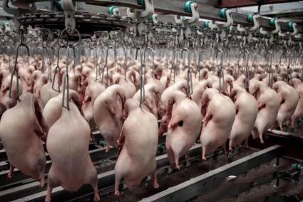 【巾妃记丨北京烤鸭】烤鸭店加盟0元培训烤鸭技